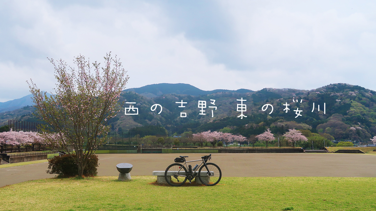 西の吉野東の桜川