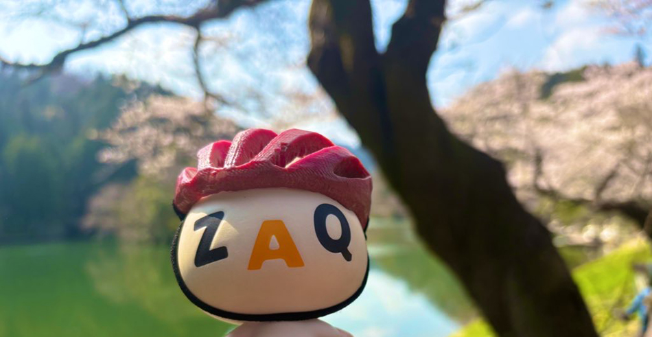鎌北湖の桜,ソメイヨシノ