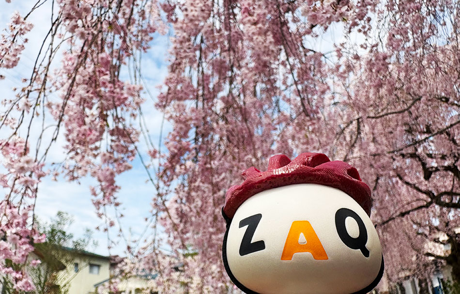 日中線しだれ桜,喜多方