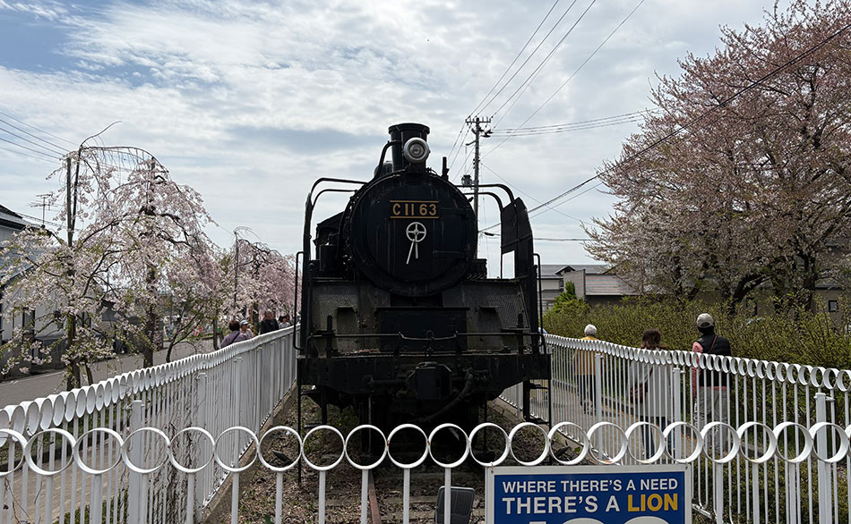 日中線しだれ桜,喜多方,SL