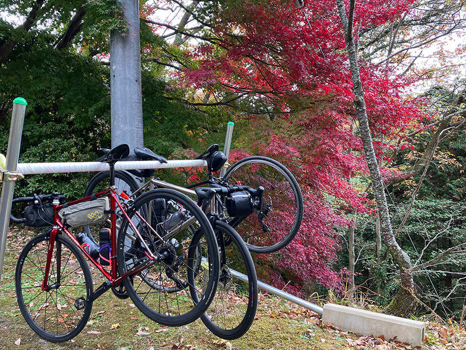 奥武蔵グリーンライン,顔振峠,ベラヴィスタ