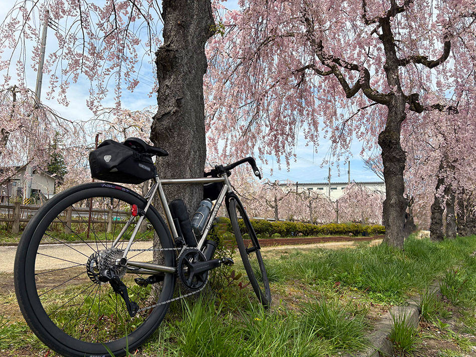 日中線しだれ桜,喜多方,エンメアッカ