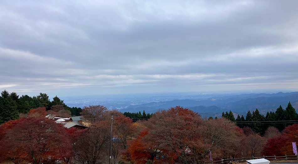 奥武蔵グリーンライン,奥武蔵GL,紅葉,堂平山