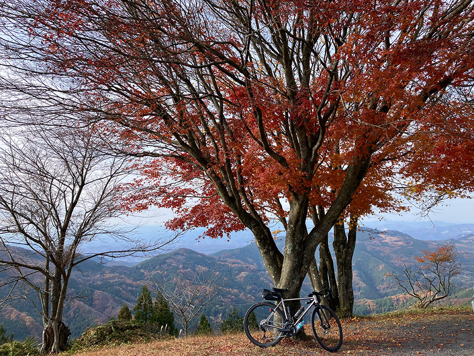 奥武蔵グリーンライン,奥武蔵GL,紅葉,堂平山