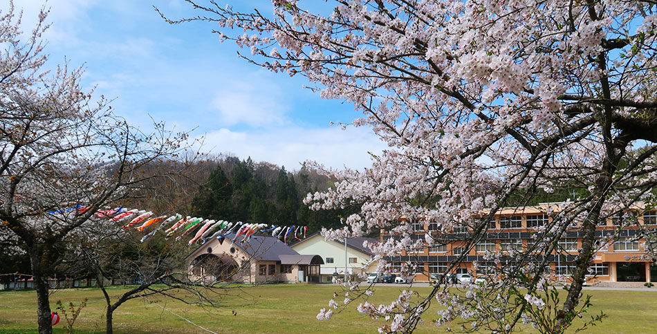北塩原村生涯学習センター,桜,鯉のぼり