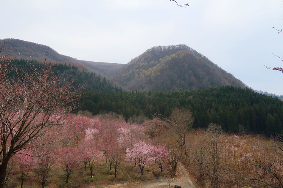 桜峠,裏磐梯,北塩原村