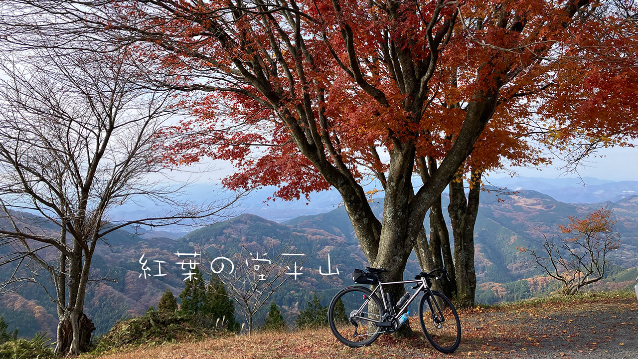 紅葉の堂平山